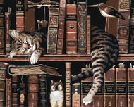 Painting by numbers - Cat in the library, 100x80 cm, without frame and without turning off the canva - Painting by Numbers
