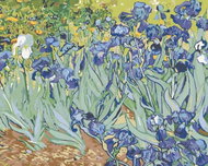 Painting by Numbers - Irises (van Gogh), 50x40cm without Frame and Stretching of the Canvas - Painting by Numbers