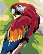 Painting by Numbers - Colored Parrot, 80x100 cm, without frame and without canvas switching off - Painting by Numbers