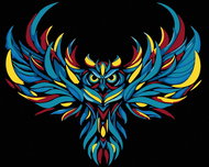 Painting by Numbers - Colourful Flying Owl, 50x40 cm, stretched canvas on frame - Painting by Numbers