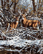 Painting by Numbers - Deer with a rope in a thicket, 40x50 cm, without frame and without switching o - Painting by Numbers