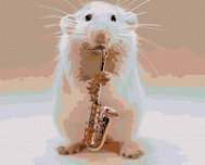 Painting by Numbers - Golden Hamster, 50x40 cm, without frame and without turning off the canvas - Painting by Numbers