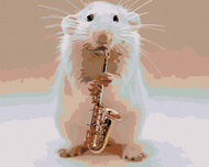 Painting by Numbers - Golden Hamster, 50x40 cm, stretched canvas on frame - Painting by Numbers