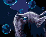 Painting by Numbers - Cat and Bubbles at Night, 100x80 cm, stretched canvas on frame - Painting by Numbers