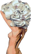 Painting by numbers - Naked woman behind a large flower, 80x100 cm, without frame and without turnin - Painting by Numbers