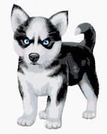 Painting by Numbers - Blue-eyed Husky, 40x50 cm, stretched canvas on frame - Painting by Numbers