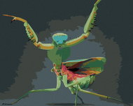 Painting by Numbers - Mantis, 100x80 cm, stretched canvas on frame - Painting by Numbers
