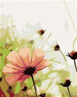 Painting by numbers - Blossoming flower in a meadow, 80x100 cm, without frame and without canvas swi - Painting by Numbers
