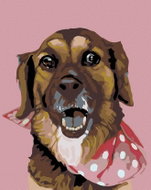 Painting by numbers - Dog with polka dot scarf, 80x100 cm, without frame and without canvas switchin - Painting by Numbers