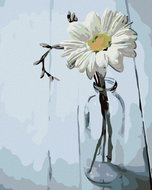Painting by Numbers - Daisy in a Bottle, 80x100 cm, stretched canvas on frame - Painting by Numbers
