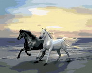 Painting by numbers - Horses on the beach, 50x40 cm, without frame and without canvas switching off - Painting by Numbers