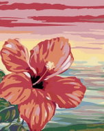 Painting by Numbers - Pink Hibiscus, 80x100 cm, stretched canvas on frame - Painting by Numbers