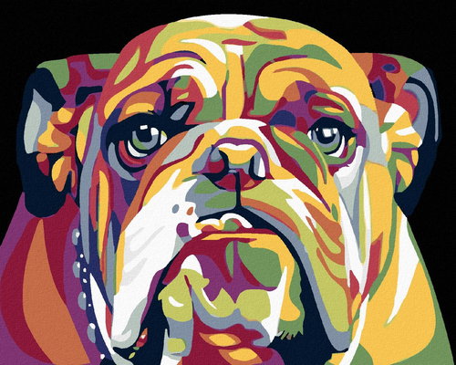 Painting by Numbers - Bulldog, 100x80 cm, off canvas on frame - Painting by Numbers - Main image
