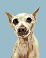 Painting by Numbers - Scared Dog, 80x100 cm, stretched canvas on frame - Painting by Numbers
