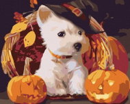Painting by numbers - Puppy with pumpkins, 50x40 cm, without frame and without canvas switching off - Painting by Numbers