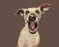 Painting by Numbers - Surprised Dog, 100x80 cm, stretched canvas on frame - Painting by Numbers