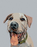 Painting by Numbers - Dog with green collar, 80x100 cm, without frame and without canvas switching o - Painting by Numbers