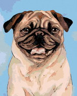 Painting by Numbers - Brown Pug, 40x50 cm, stretched canvas on frame - Painting by Numbers