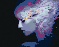 Painting by Numbers - Feathers in Hair, 50x40 cm, stretched canvas on frame - Painting by Numbers