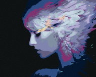 Painting by Numbers - Feathers in Hair, 100x80 cm, without frame and without switching off the canva - Painting by Numbers