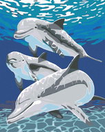 Painting by Numbers - Dolphin with family, 40x50 cm, stretched canvas on frame - Painting by Numbers