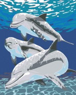 Painting by numbers - Dolphin with family, 80x100 cm, without frame and without turning off the canv - Painting by Numbers