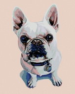Painting by Numbers - White Bulldog with Blue Collar, 80x100 cm, without frame and without canvas sh - Painting by Numbers
