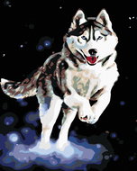 Painting by Numbers - Husky, 40x50 cm, stretched canvas on frame - Painting by Numbers