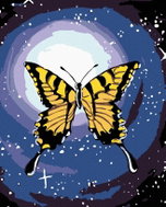 Painting by numbers - Butterfly and night sky, 40x50 cm, without frame and without switching off the - Painting by Numbers