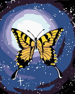 Painting by Numbers - Butterfly and Night Sky, 40x50 cm, stretched canvas on frame - Painting by Numbers
