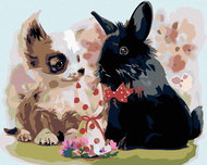 Painting by numbers - Puppy with black rabbit, 50x40 cm, stretched canvas on frame - Painting by Numbers