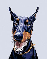 Painting by Numbers - Doberman, 80x100 cm, without frame and without turning off the canvas - Painting by Numbers
