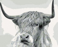 Painting by Numbers - Black and White Buffalo Straight View, 50x40 cm, stretched canvas on frame - Painting by Numbers