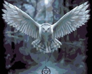 Painting by numbers - Owl with pentagram, 100x80 cm, without frame and without turning off the canva - Painting by Numbers