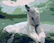 Painting by Numbers - Polar Bear, 50x40 cm, without frame and without turning off the canvas - Painting by Numbers