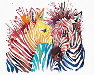 Painting by Numbers - Colourful Zebras, 50x40 cm, stretched canvas on frame - Painting by Numbers