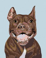 Painting by Numbers - Pitbull, 40x50 cm, off canvas on frame - Painting by Numbers
