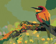 Painting by Numbers - Small colourful bird with pointed beak, 50x40 cm, without frame and without sh - Painting by Numbers