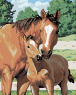 Painting by Numbers - Mare and foal, 40x50 cm, stretched canvas on frame - Painting by Numbers