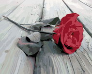 Painting by Numbers - Laid Rose, 100x80 cm, stretched canvas on frame - Painting by Numbers