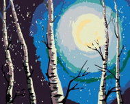 Painting by Numbers - Birches, Moon and Falling Snow, 50x40 cm, without frame and without turning of - Painting by Numbers