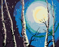 Painting by Numbers - Birches, Moon and Falling Snow, 100x80 cm, stretched canvas on frame - Painting by Numbers