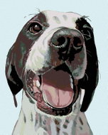 Painting by Numbers - Happy Dog, 80x100 cm, without frame and without switching off the canvas - Painting by Numbers