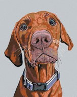 Painting by Numbers - Ridgeback with blue collar, 40x50 cm, without frame and without canvas shut of - Painting by Numbers