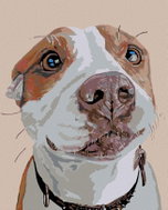 Painting by Numbers - Waiting Dog, 40x50 cm, without frame and without turning off the canvas - Painting by Numbers