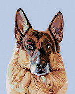 Painting by Numbers - German Shepherd Dog, 80x100 cm, without frame and without canvas switching off - Painting by Numbers