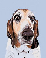 Painting by Numbers - Basset Hound, 40x50 cm, stretched canvas on frame - Painting by Numbers