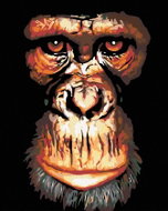 Painting by Numbers - Chimpanzee, 40x50 cm, without frame and without turning off the canvas - Painting by Numbers