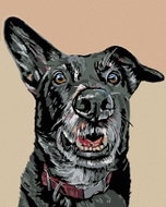 Painting by Numbers - Black Dog and a Trapped Ear, 80x100 cm, without frame and without switching of - Painting by Numbers