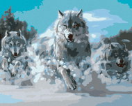 Painting by Numbers - Running Wolves, 100x80 cm, off canvas on frame - Painting by Numbers